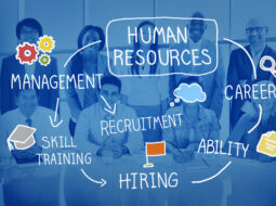 manage human resources